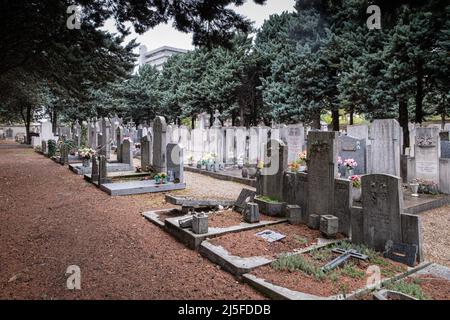 Lyon (Frankreich), 6. Oktober 2020. Der alte Friedhof von La Guillotière mit seinen blühenden Gräbern. Stockfoto