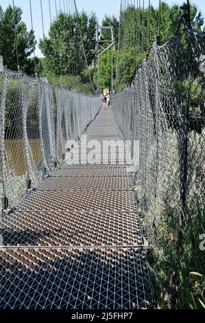 Die Starmine Suspension Bridge in Rosedale, Alberta, wurde ursprünglich 1931 für Kohlearbeiter der Star Mine errichtet, um den Red Deer River zu überqueren. Stockfoto