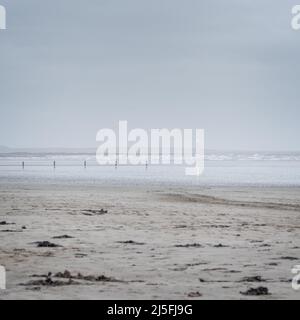 St. John's Point Leuchtturm am Strand von Tyrella; bewölktes, dunstiges Winternachmittag; Licht, das sich im Meer widerspiegelt; bewölktes Himmel; Algen am Strand im Vordergrund. Stockfoto