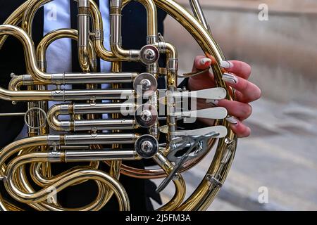 Frauenhände spielen ein Horn oder ein französisches Horn, im Orchester Stockfoto