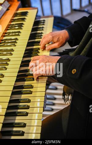 Die Hände des Mannes spielen eine Kirchenorgel Stockfoto
