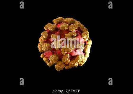 Covid-19. Coronavirus Sars Cov 2. Viruszellen isoliert . 3D Darstellung rendern. Stockfoto