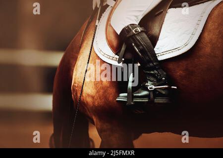 Der Reiter sitzt im Sattel auf einem Lorbeerpferd, das seinen Kopf gebeugt hat. Pferdemunition. Reiten. Reitsport. Stockfoto