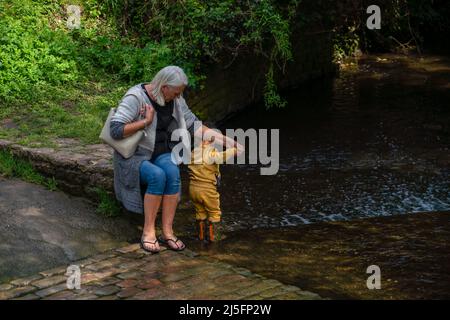 Großmutter sitzt und hält die Hand ihres Enkels, während er in einem flachen Bach, Sonnenschein und Schatten paddelt Stockfoto