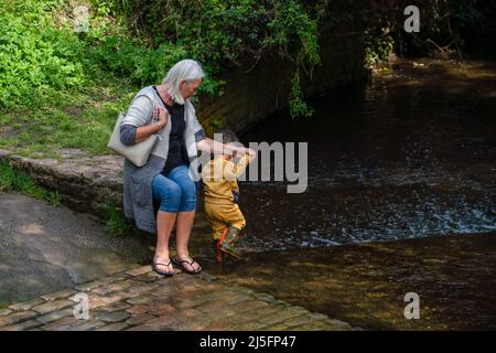 Großmutter sitzt und hält die Hand ihres Enkels, während er in einem flachen Bach, Sonnenschein und Schatten paddelt Stockfoto
