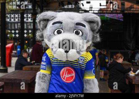 Warrington, Großbritannien. 23. April 2022. Wolfie besucht die Fanzone vor dem Spiel in Warrington, Großbritannien am 4/23/2022. (Foto von Simon Whitehead/News Images/Sipa USA) Quelle: SIPA USA/Alamy Live News Stockfoto