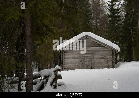 Rovaniemi, Finnland - 18.. März 2022: Ein Holzschuppen in einem verschneiten Tannenwald in Finnland. Stockfoto