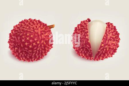 Reife frische ganze und mit rissigen Schale und glatt saftigen Fleisch in Litchi Frucht realistische Vektor isoliert auf weißem Hintergrund. Komisch exotisch tropisch Stock Vektor