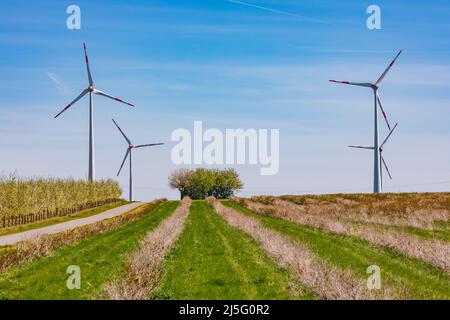 In Rheinland-Pfalz dominieren Windenergieanlagen zur Erzeugung erneuerbarer Energien die ländliche Landschaft Stockfoto