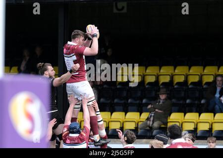 Melrose, Großbritannien. 23. April 2022. Melrose, Samstag, 23. April 2022. FOSROC Super6 Sprint Serie Southern Knight vs Watsonians auf den Greenyards, Melrose. Iain Moody (Watsonians) gewinnt den Line-Out-Ball (Bildquelle: Rob Gray/Alamy Live News Stockfoto