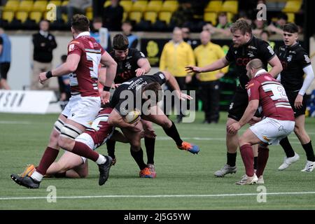 Melrose, Großbritannien. 23. April 2022. Melrose, Samstag, 23. April 2022. FOSROC Super6 Sprint Serie Southern Knight vs Watsonians auf den Greenyards, Melrose. Grant Shiells (Southern Knights) mit Ball in der Hand versucht, die Verteidigung der Watsonianer zu durchbrechen (Bildquelle: Rob Gray/Alamy Live News Stockfoto