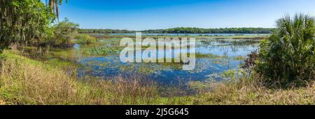 Lake Holathlikaha im Fort Cooper State Park - Inverness, Florida, USA Stockfoto