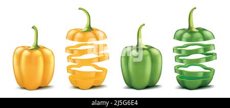 Vektor realistische grüne und gelbe Paprika. Ganz und isoliert auf weißem Hintergrund geschnitten. Pod von süßem bulgarischem Pfeffer, reifes Gemüse zum Kochen Stock Vektor
