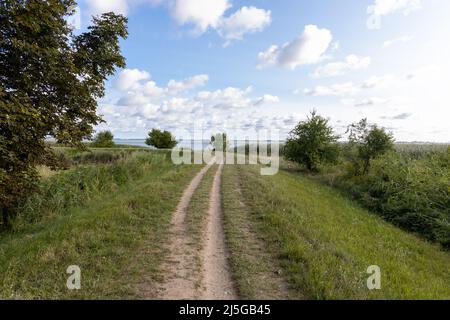 Allein auf dem Wanderweg am Achterwasser in Zempin auf der Insel Usedom an einem sonnigen Tag Stockfoto