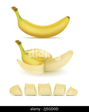 Vektor realistische Set von gelben Bananen, ganz, geschält und geschnitten, isoliert auf dem Hintergrund. Süße tropische Früchte, natürlich nahrhaftes Essen für Vegetarier Stock Vektor