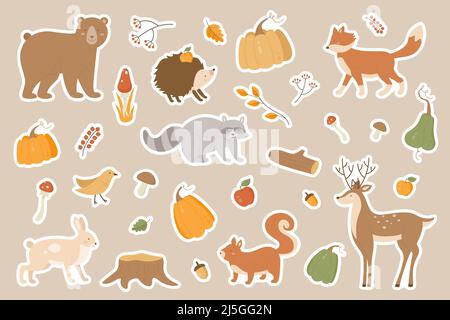 Herbst Tiere Vektor Illustration Aufkleber Packung Set. Cartoon flache Wald Herbst Saison Kollektion mit Waschbär Hirsch Hase Igel Fuchs Figuren, Baum Zweige herbstliche Pilze, Kürbis isoliert Stock Vektor