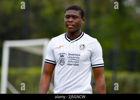 Swansea, Wales. 23. April 2022. Richard Faakye von Swansea City unter 18s Jahren während des Spiels der Professional Development League zwischen Swansea City unter 18 und Hull City unter 18 Jahren an der Swansea City Academy in Swansea, Wales, Großbritannien am 23. April 2022. Quelle: Duncan Thomas/Majestic Media/Alamy Live News. Stockfoto