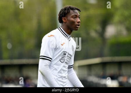 Swansea, Wales. 23. April 2022. David Roberts von Swansea City unter 18s Jahren während des Spiels der Professional Development League zwischen Swansea City unter 18 und Hull City unter 18 Jahren an der Swansea City Academy in Swansea, Wales, Großbritannien am 23. April 2022. Quelle: Duncan Thomas/Majestic Media/Alamy Live News. Stockfoto