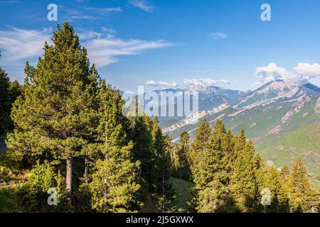 Blick auf den Gipfel La Tosa vom Aussichtspunkt Orris, Sierra de Moixeró, Naturpark Cadí-Moixeró, Berguedà, Barcelona, Katalonien, Spanien Stockfoto