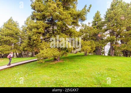 Blick auf den Gipfel La Tosa vom Aussichtspunkt Orris, Sierra de Moixeró, Naturpark Cadí-Moixeró, Berguedà, Barcelona, Katalonien, Spanien Stockfoto