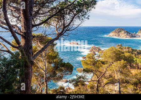 Tossa de Mar, Costa Brava, Girona, Spanien Stockfoto