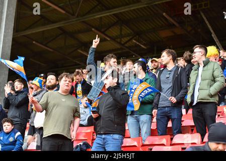 LONDON, GROSSBRITANNIEN. APR 23. Shrewsbury Town-Fans singen beim Sky Bet League 1-Spiel zwischen Charlton Athletic und Shrewsbury Town am Samstag, dem 23.. April 2022 im The Valley, London. (Kredit: Ivan Yordanov | MI Nachrichten) Kredit: MI Nachrichten & Sport /Alamy Live Nachrichten Stockfoto