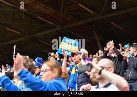 LONDON, GROSSBRITANNIEN. APR 23. Shrewsbury Town-Fans während des Sky Bet League 1-Spiels zwischen Charlton Athletic und Shrewsbury Town am Samstag, dem 23.. April 2022 im The Valley, London. (Kredit: Ivan Yordanov | MI Nachrichten) Kredit: MI Nachrichten & Sport /Alamy Live Nachrichten Stockfoto