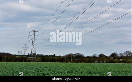 Eine Reihe von Hochspannungsmasten und Drähten über dem Ackerland außerhalb von Bristol, Großbritannien Stockfoto