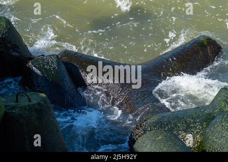 Der Northern Breakwater in Liepaja, eine Nahaufnahme von Tetrapoden und plätschernden, plätschernden Wellen. Dolosse Struktur in der Ostsee Stockfoto