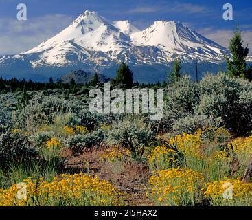 Mt. Shasta, Cascade Range, Kalifornien Stockfoto