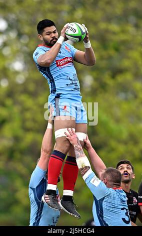 Richmond, Großbritannien. 23. April 2022. Championship Cup Rugby. London Scottish V Jersey Reds . Richmond Athletic Ground. Richmond. Während des London Scottish V Jersey Reds Championship Cup Rugby-Spiels. Kredit: Sport In Bildern/Alamy Live Nachrichten Stockfoto