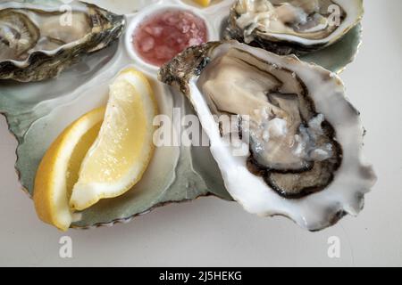 Selektive Fokusansicht auf frischen Austern mit Zitronenscheiben an der Seite, auf weißem Tisch. Stockfoto