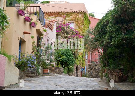 Mit Pflanzen verzierte Häuser von Collioure Stockfoto