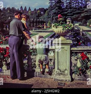 Ein Vater und seine zwei Kinder besuchen 1961 Compton Acre Gardens, Poole, England. Dieses Bild wurde von der Originalfolie aufgenommen. Stockfoto