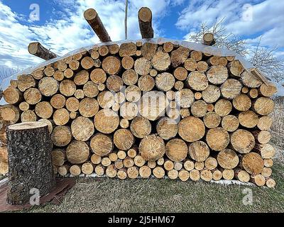 In der Natur gestapelte Baumstämme gegen einen nebligen Himmel. Stockfoto