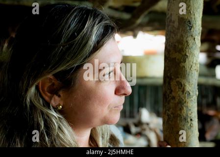 Porträt einer Frau in einem Ziegelhof, die zur Seite schaut. Maragogipipain, Bahia, Brasilien. Stockfoto