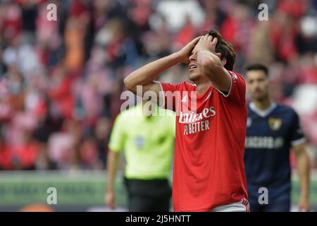 Lissabon, Portugal. 23. April 2022. Paulo Bernardo, Mittelfeldspieler von SL Benfica, reagiert während des Liga Portugal Bwin-Spiels zwischen SL Benfica und Famalicão FC am 23. April 2022 in Lissabon, Portugal. Valter Gouveia/SPP Credit: SPP Sport Press Photo. /Alamy Live News Stockfoto