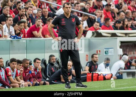 Curitiba, Brasilien. 23. April 2022. PR - Curitiba - 04/23/2022 - BRASILIANER A 2022, ATHLETICO PR X FLAMENGO - Fabio Carille Trainer von Athletico-PR während eines Spiels gegen Flamengo im Stadion Arena da Baixada für die brasilianische Meisterschaft A 2022. Foto: Robson Mafra/AGIF/Sipa USA Quelle: SIPA USA/Alamy Live News Stockfoto