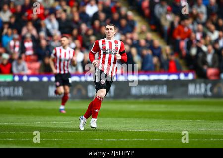 Bramall Lane, Sheffield, England - 23. April 2022 John Fleck (4) von Sheffield United - während des Spiels Sheffield United gegen Cardiff City, Sky Bet Championship 2021/22, Bramall Lane, Sheffield, England - 23. April 2022 Credit: Arthur Haigh/WhiteRoseFotos/Alamy Live News Stockfoto
