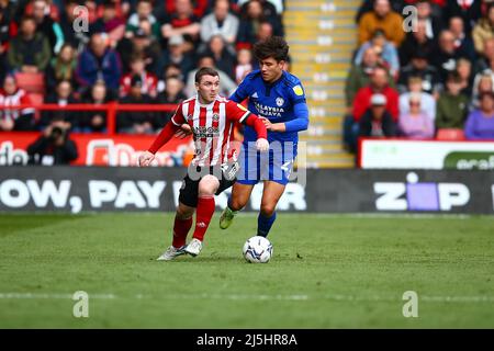 Bramall Lane, Sheffield, England - 23. April 2022 John Fleck (4) von Sheffield United und Rubin Colwill (27) von Cardiff City kämpfen um den Ball - während des Spiels Sheffield United gegen Cardiff City, Sky Bet Championship 2021/22, Bramall Lane, Sheffield, England - 23. April 2022 Credit: Arthur Haigh/WhiteRoseFotos/Alamy Live News Stockfoto