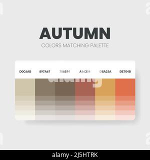 Herbstliche Farbpaletten oder Farbschemata sind in diesem Jahr Trendkombinationen und Palettenführer; Tabellenfarbtöne in RGB oder HEX. Ein Farbfeld Stock Vektor
