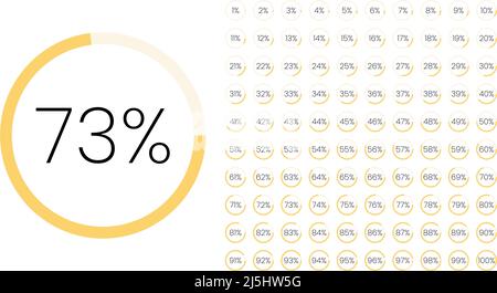 Satz von Farbkreis Prozentmetern von 0 bis 100 für Infografik, Benutzeroberfläche Design UI. Farbenfrohes Kreisdiagramm, Download-Fortschritt. Kreisdiagramm Stock Vektor