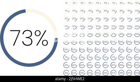 Satz von Farbkreis Prozentmetern von 0 bis 100 für Infografik, Benutzeroberfläche Design UI. Farbenfrohes Kreisdiagramm, Download-Fortschritt. Kreisdiagramm Stock Vektor