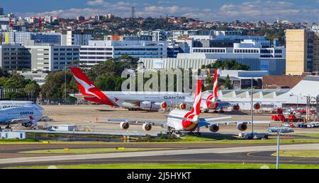 Qantas jets am Sydney (Kingsford Smith) Airport in Sydney, Australien. Stockfoto