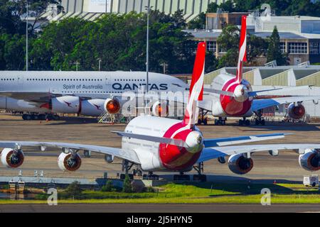 Drei Qantas A380-Jets am Sydney (Kingsford Smith) Airport in Sydney, Australien. Stockfoto