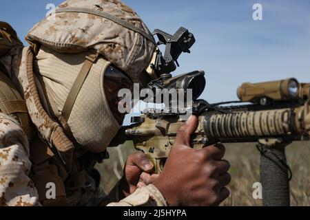 US Navy Petty Officer 3. Klasse Elijah Bell, ein Korpsmann der Marine mit 1. Bataillon, 7. Marine Regiment, 1. Marine Division, zielt auf Downrange zwischen Kumpel stürzt Saylor Creek Range in Grasmere, Idaho während der Übung Garnett Rattler 18. April 2022. Garnet Rattler ist eine gemeinsame Übung zwischen Marines, Soldiers und Airmen, um Joint Terminal Attack Controller (JTAC) zu trainieren und zu qualifizieren, um in einer realistischen Trainingsumgebung effizienter und tödlicher zu sein. (USA Marine Corps Foto von CPL. Timothy Fowler) Stockfoto