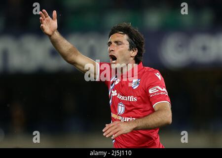 Verona, Italien. 23. April 2022. Tommaso Augello (UC Sampdoria) Gesten während Hellas Verona vs UC Sampdoria, italienische Fußballserie A Spiel in Verona, Italien, April 23 2022 Quelle: Independent Photo Agency/Alamy Live News Stockfoto