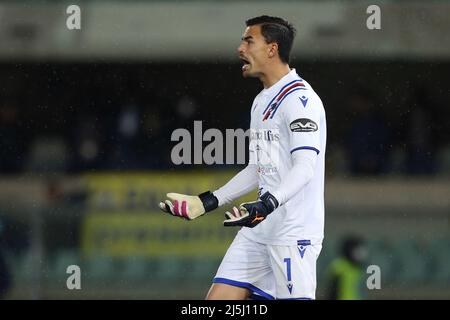 Verona, Italien. 23. April 2022. Emil Audero (UC Sampdoria) reagiert während des Spiels Hellas Verona gegen UC Sampdoria, italienische Fußballserie A in Verona, Italien, April 23 2022 Quelle: Independent Photo Agency/Alamy Live News Stockfoto