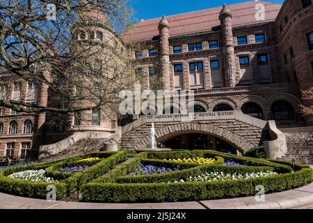 Old Castle der Eingang des American Museum of Natural History ist im Frühling, NYC, USA 2022, stattlich Stockfoto