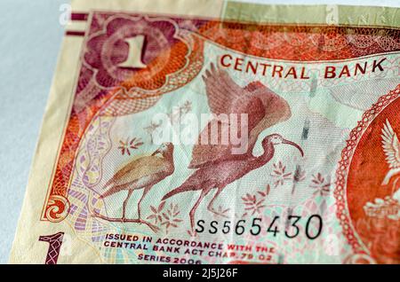 Detail aus einer 1-Dollar-Banknote aus Trinidad und Tobago mit scharlachroten Ibis (Eudocimus ruber) Vögeln und einigen Pflanzen. Gebrauchte Banknote, fotografiert Stockfoto